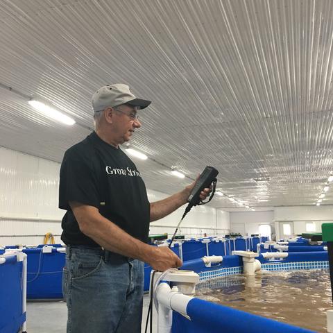 Testing the water in the shrimp tanks
